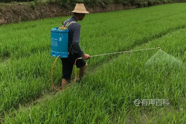 氯氟吡氧乙酸除草剂的防治对象及作用对象