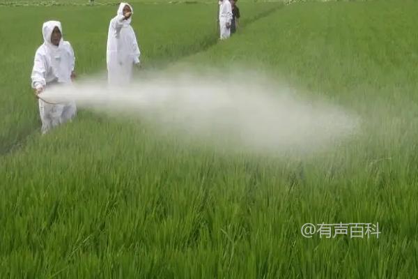 甲维盐和阿维菌素可否合并使用