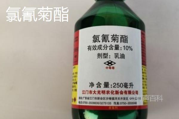 氯氰菊酯和高效氯氰菊酯的区别及高效氯氰菊酯杀虫效力分析