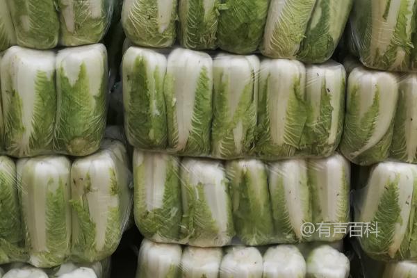 白菜保存期限及方法：根据保存环境与方法确定