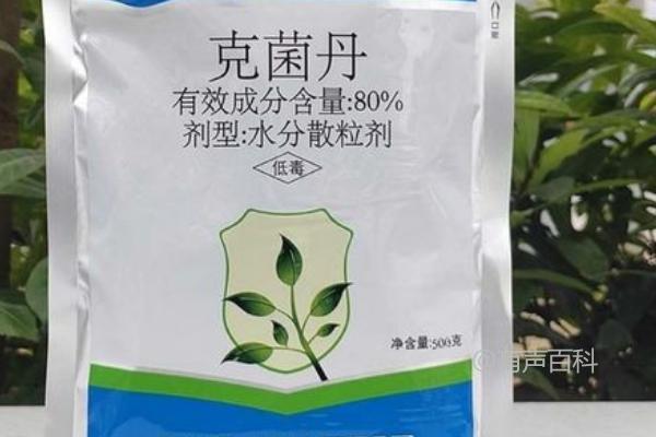 克菌丹的主要治疗疾病、广谱杀菌特性及多样化应用方式