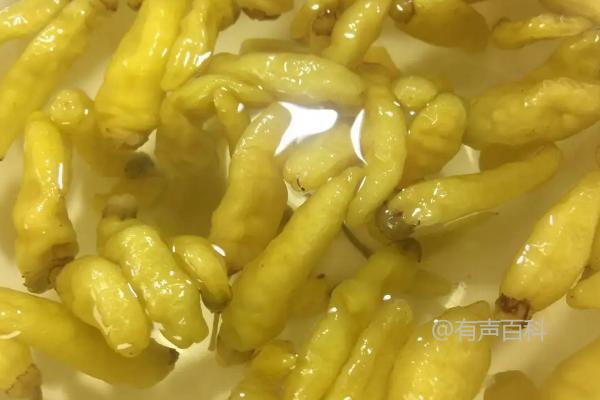 当然可以！盆栽辣椒完全可以食用。盆栽辣椒是在盆栽中种植的辣椒植物，和田园种植的辣椒没有本质区别。只需确保使用无毒的土壤和合适的肥料，盆栽辣椒产生的果实同样可以食用。