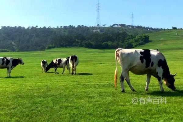 美国农业分布状况及地理位置