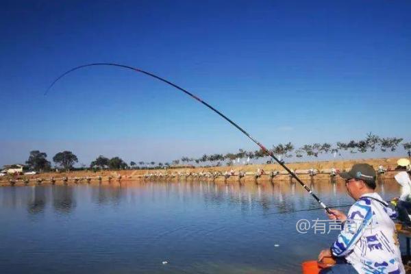 夏季钓鱼：选择使用腥味还是香味饵料更合适？