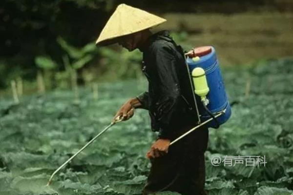 美甜先正达杀菌剂用于哪些疾病治疗