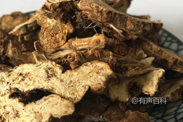 种植三年的苍术每亩可产出多少斤？