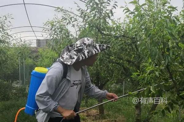 甲维盐的防治蚜虫功能及用途介绍