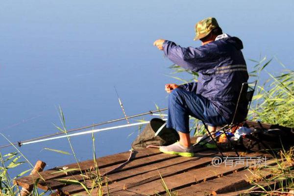 寒冷季节如何在钓鲫鱼时选择合适的饵料？