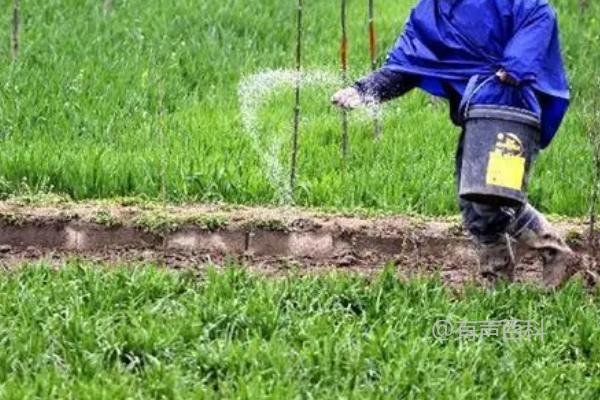 冬小麦肥料需求特点及拔节期对氮肥需求量的影响