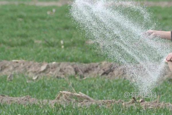 冬小麦肥料需求特点及拔节期对氮肥需求量的影响