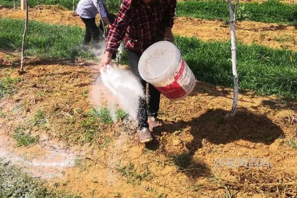 配方施肥的特色及根据作物需肥规律搭配肥料比例