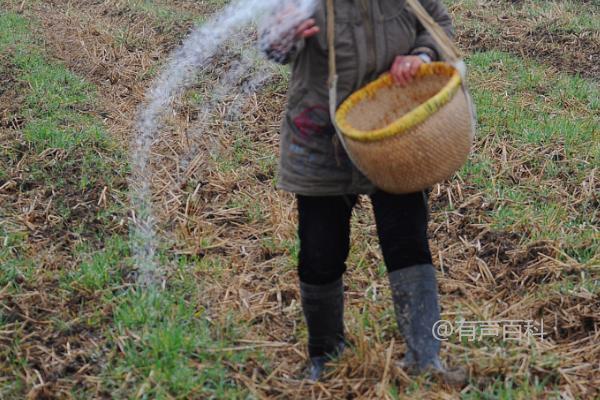 配方施肥的特色及根据作物需肥规律搭配肥料比例