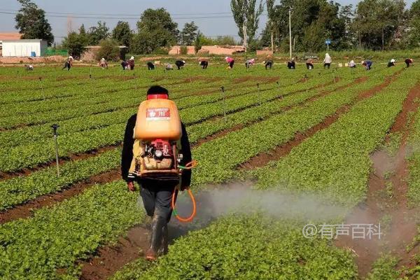 腐霉利是什么类型的农药，以及腐霉利的作用介绍