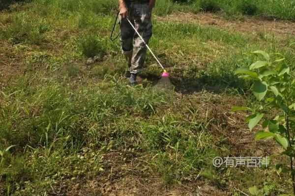 为什么不能反复使用除草剂