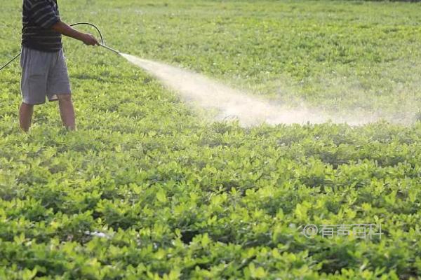 乙草胺的使用量：不同农作物、不同地区的用量差异