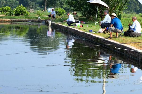 温差大的条件下是否适合钓鱼？最佳出钓时间选择建议