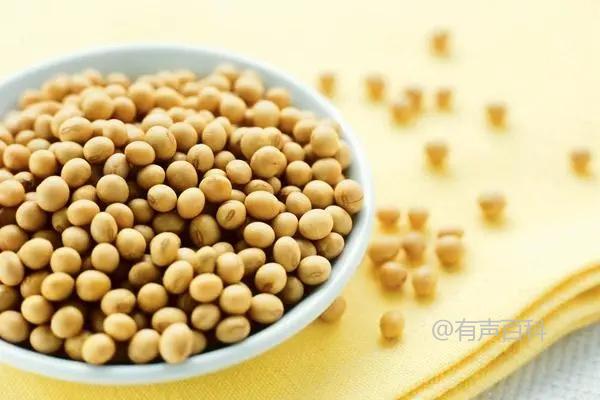 种植黄豆的时间、技术和气候条件对黄豆产量的影响