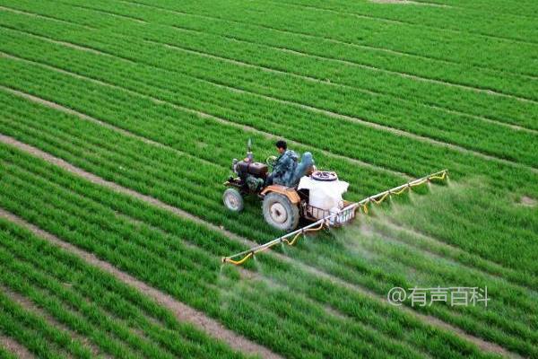 高效氯氟氰菊酯对蜗牛的灭杀效果并不明显