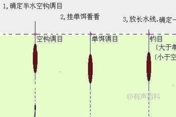 垂钓技巧：钓鲢鳙是否需要调漂，钓鲢鳙时的调漂技巧