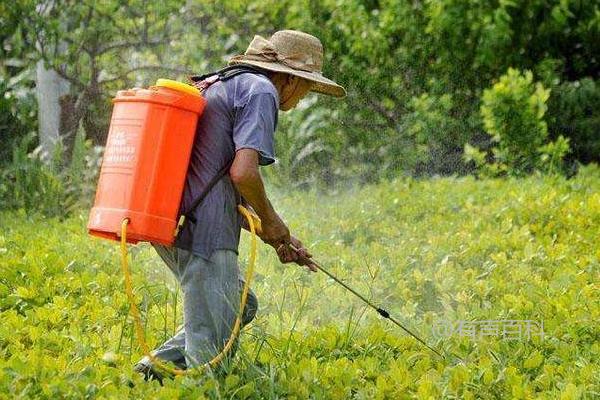 「二甲四氯钠除草剂的除草范围」改为「二甲四氯钠除草剂的使用范围及作用」