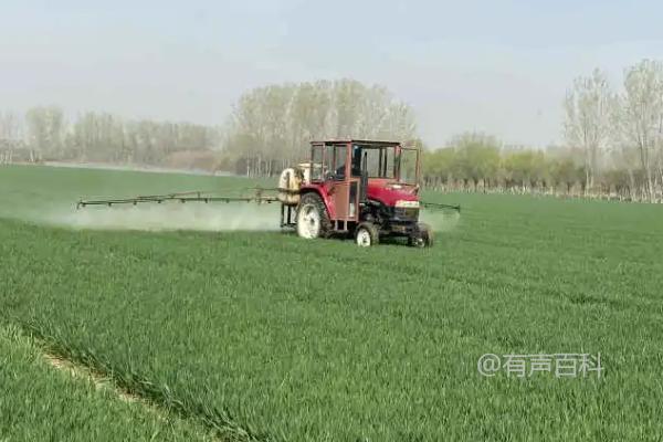 苏云金杆菌防治什么害虫效果好，可有效防治菜青虫、小菜蛾、甜菜夜蛾等