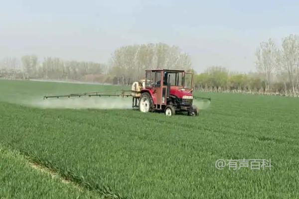 氯氰菊酯的使用时间因虫害的不同而有所差异