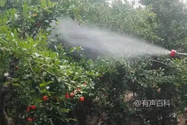 除草剂使用后几小时下雨会对效果有影响吗？