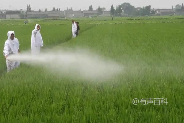 除草剂使用后几小时下雨会对效果有影响吗？