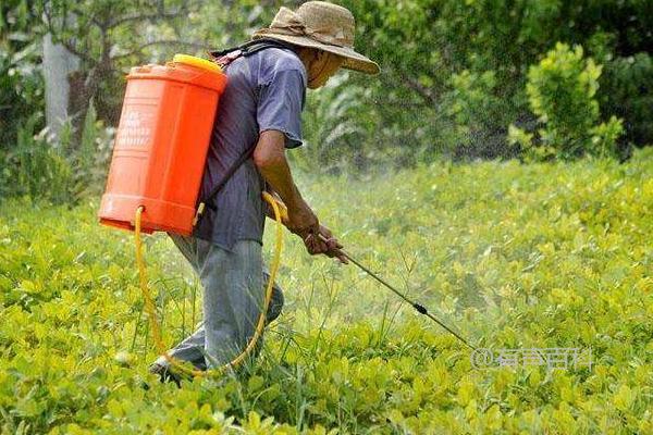 安泰生杀菌剂的正确使用方法和注意事项