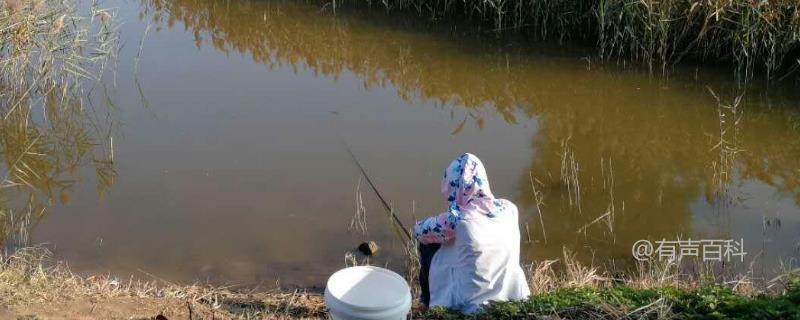 钓鳙鱼的最佳钓组及吊篮飞钩钓鳙鱼技巧