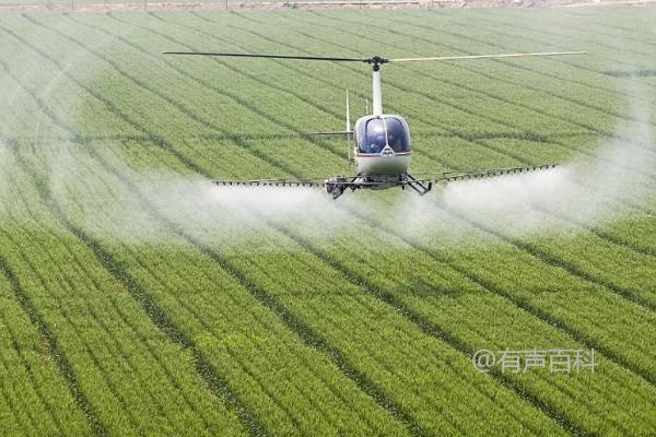 小麦赤霉病防治技术：如何选择抗病良种，合理使用播前药剂拌种